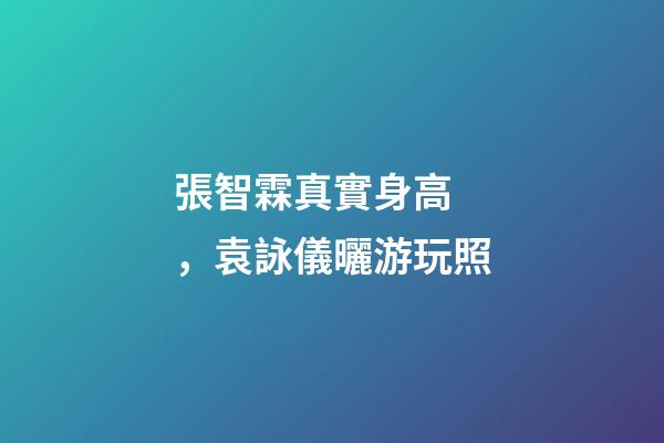張智霖真實身高，袁詠儀曬游玩照-第1張-觀點-玄機派